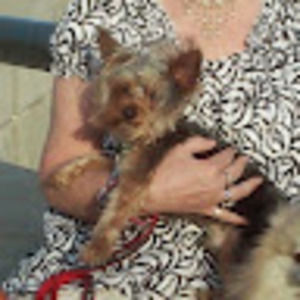 Meet your Posher, Linda